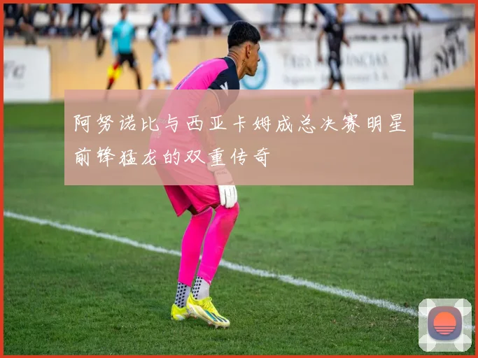 阿努诺比与西亚卡姆成总决赛明星前锋猛龙的双重传奇