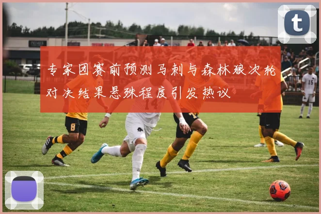 专家团赛前预测马刺与森林狼次轮对决结果悬殊程度引发热议